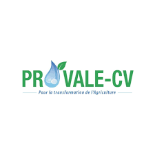 PROVALE CV
